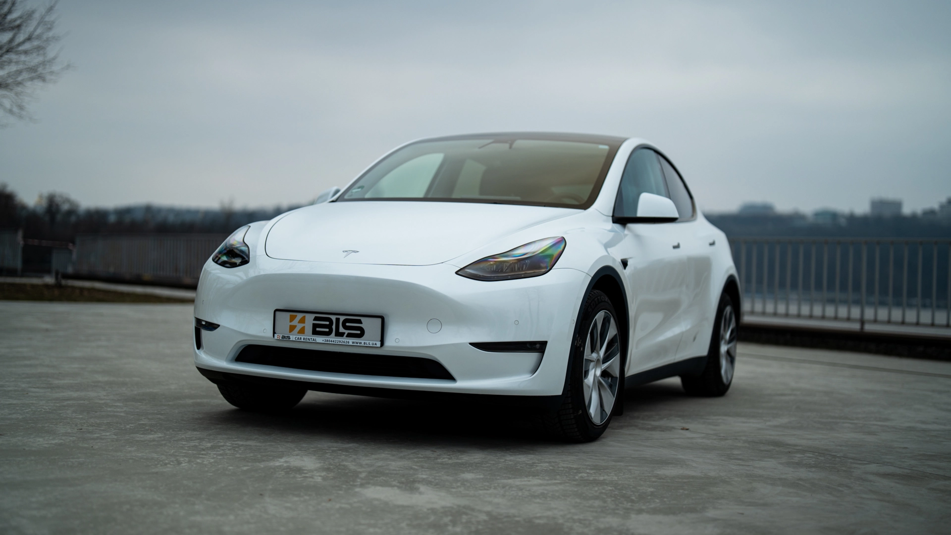 прокат Tesla Model Y фото 1