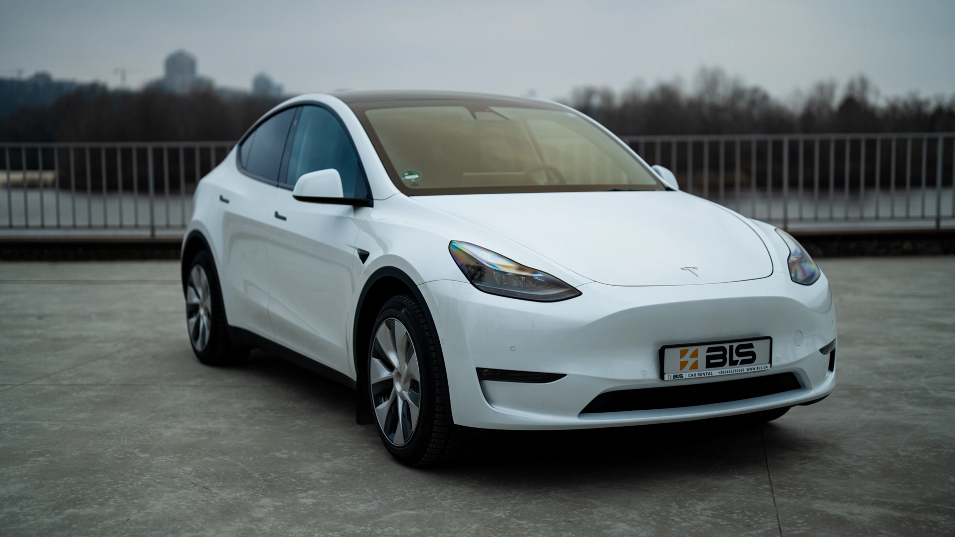 прокат Tesla Model Y