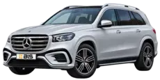 Mercedes GLS 450 - BLS