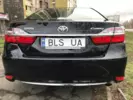 BLS - 10