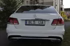 BLS - 12