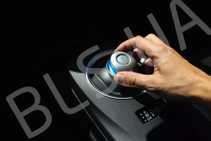 renting Nissan Leaf image 3