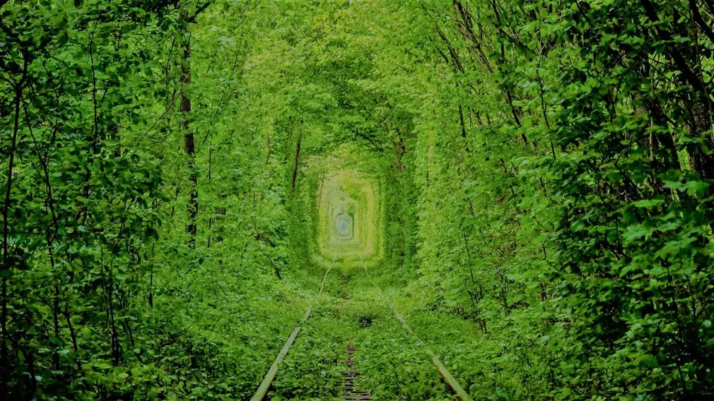 green arch-shaped tunne
