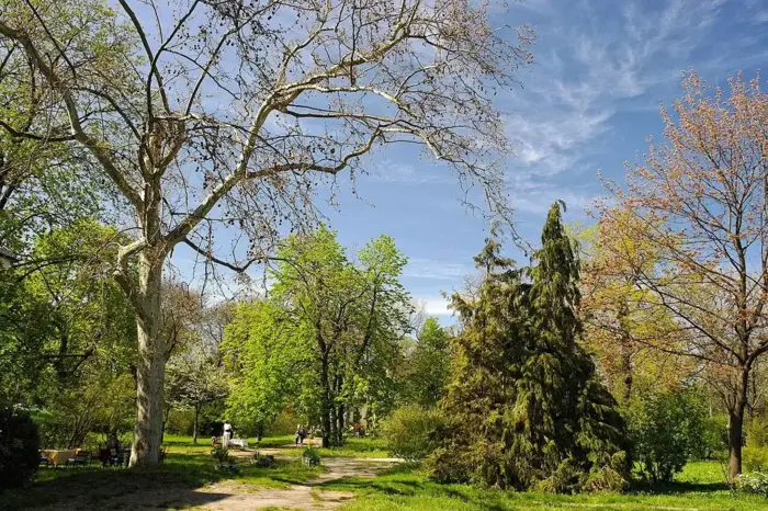 ONU Botanical Garden, Odesa
