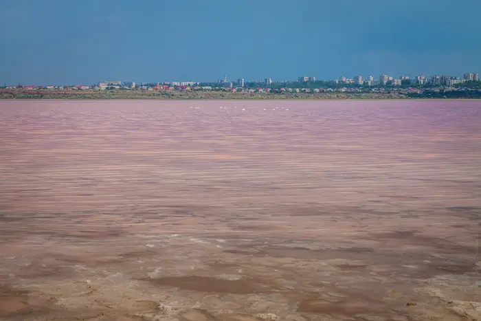 Kuialnyk Estuary, Odesa Oblast